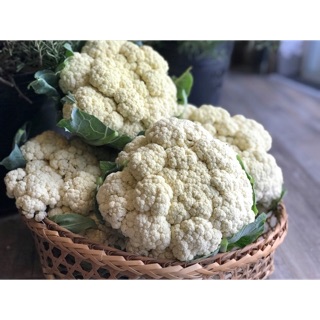 Hạt giống Bông Cải Trắng