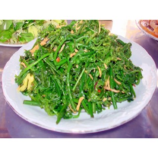 Giống cây rau Dớn