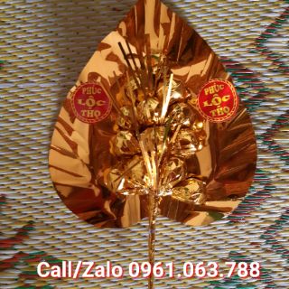 Lá Trầu - Cành Vàng Lá Ngọc