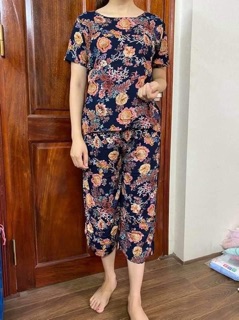 Bộ lanh nhung cấp cấp