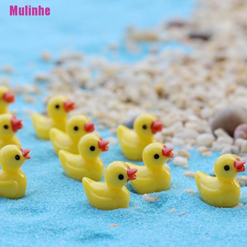 Set 6 tượng vịt vàng dùng trang trí vườn thu nhỏ