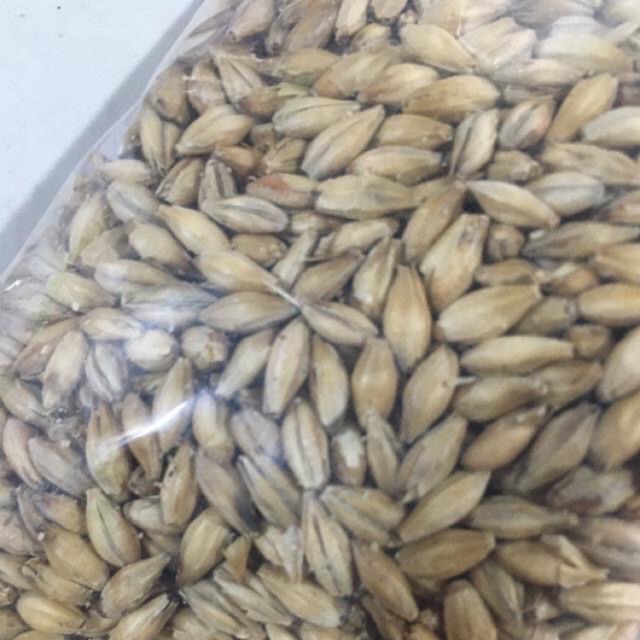 Hạt đại mạch 1kg