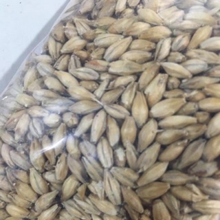 Hạt đại mạch 1kg