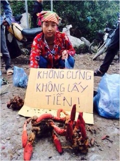 Nấm ngọc cẩu
