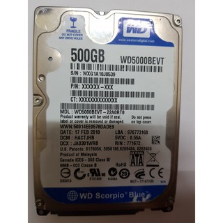 Ổ cứng hdd 500gb windown 10
