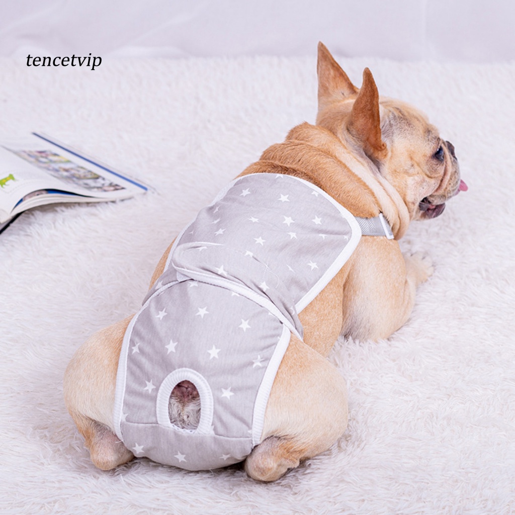 Quần vệ sinh thú cưng chăm sóc sức khỏe thoải mái mùa hè
