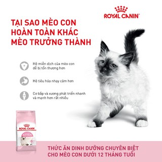 Thức ăn mèo canin kitten 2kg