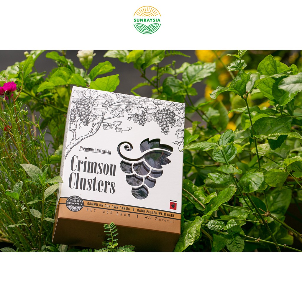 Nho khô cao cấp Úc Sunraysia Crimson nguyên cành 450g