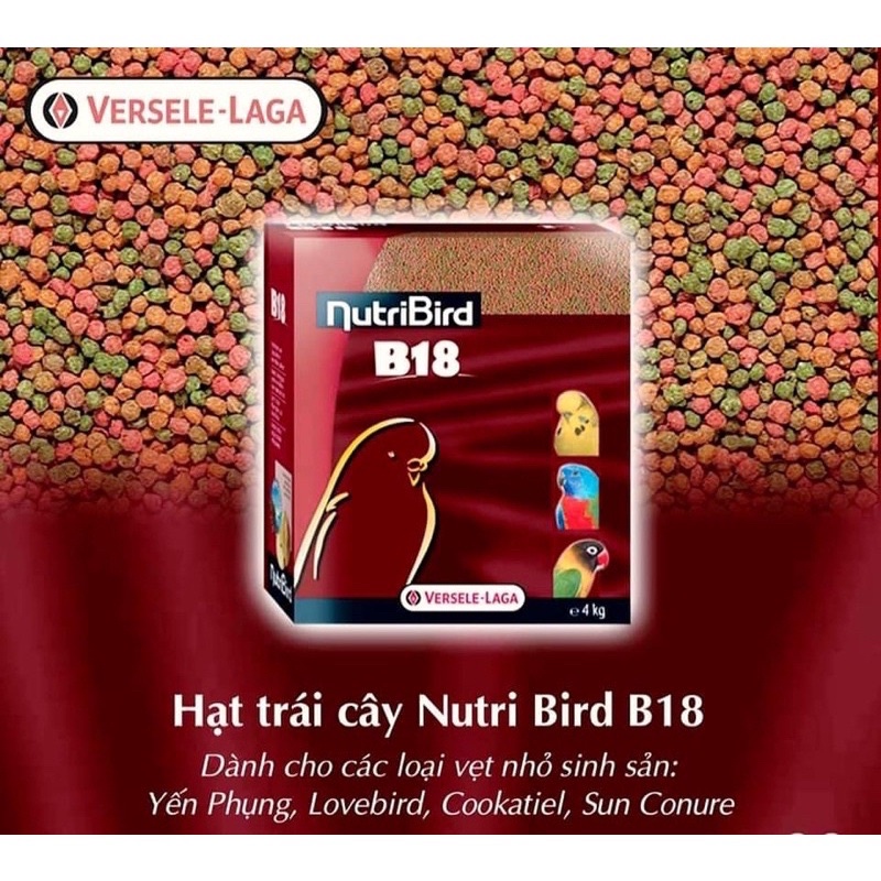 Hạt trái cây NutriBird B18 cho Vẹt nhỏ, xuất xứ: Bỉ 🇧🇪