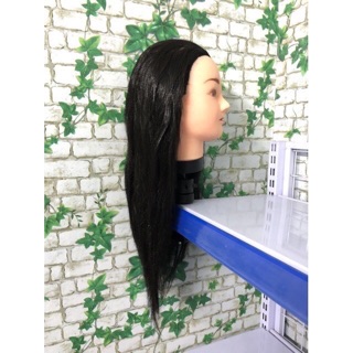 Đầu manocanh học cắt