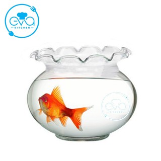 Hồ Cá Bể Cá Có Miệng Bèo Thuỷ Tinh B3 10 x 12 Cm Tặng Kèm Sỏi Và Rong Trang Trí