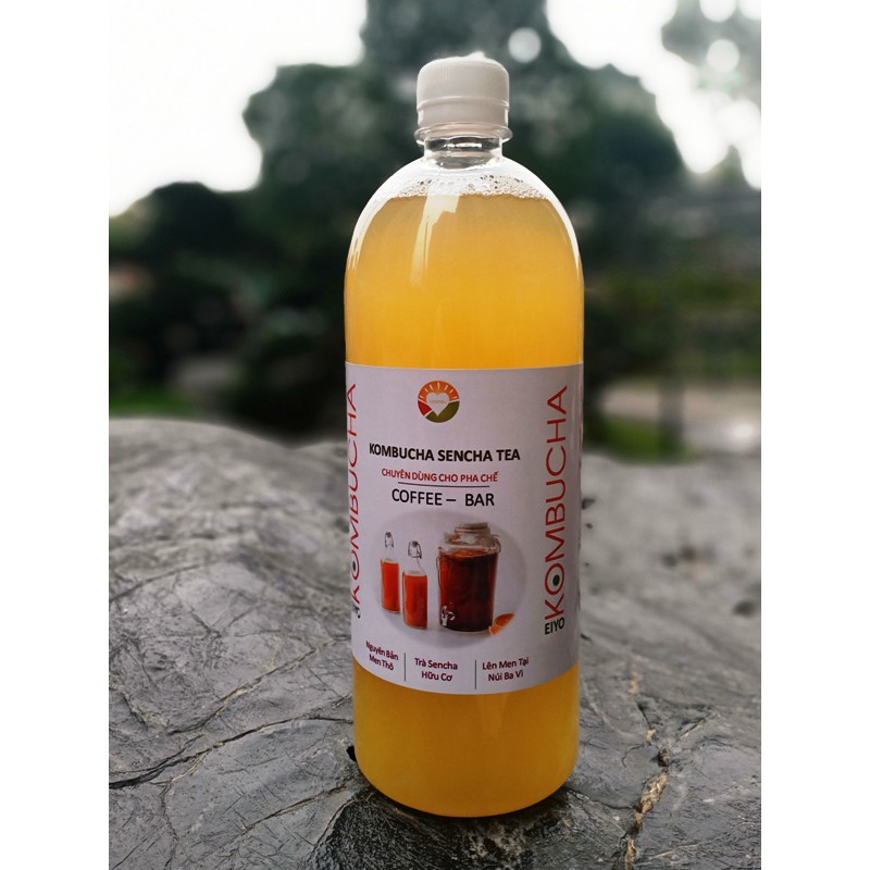 KOMBUCHA SENCHA TEA - HỮU CƠ/CHAI NHỰA - RẺ - TIỆN DỤNG (Nguyên Chất Thô - chuyên dùng cho pha chế )