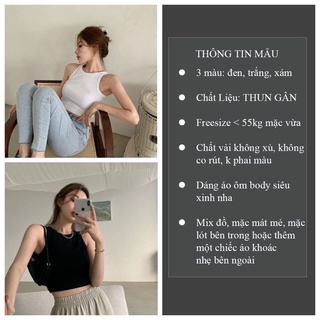 Áo ba lỗ kiểu dáng Basic thun gân dày dặn - CT03