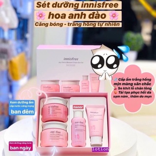 Set dưỡng da innisfree hoa anh đào