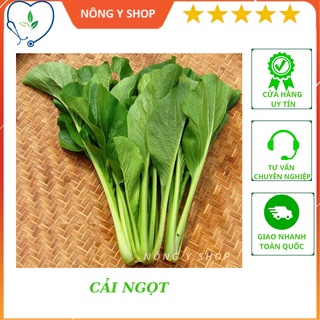 Hạt giống cải ngọt rạng đông rado 54