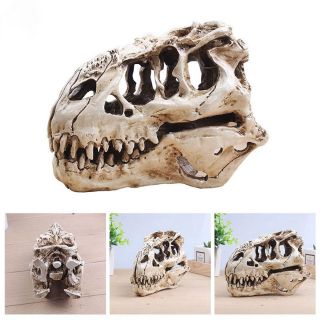 Mô hình hộp sọ khủng long T-Rex siêu chân thật