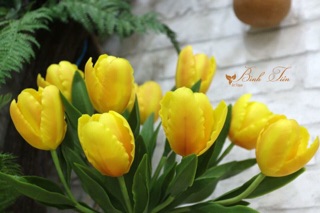 Gân hoa đất sét- lá tulip