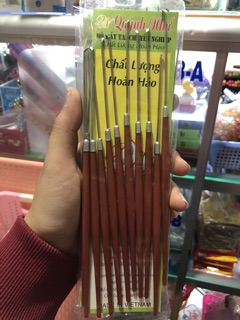 Cây móc rái tai (2 cây)