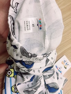 QUẦN BOZIP THU BTBG(lo 100q)