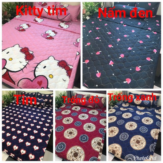 Bộ chăn ga hè 5 món cotton poly