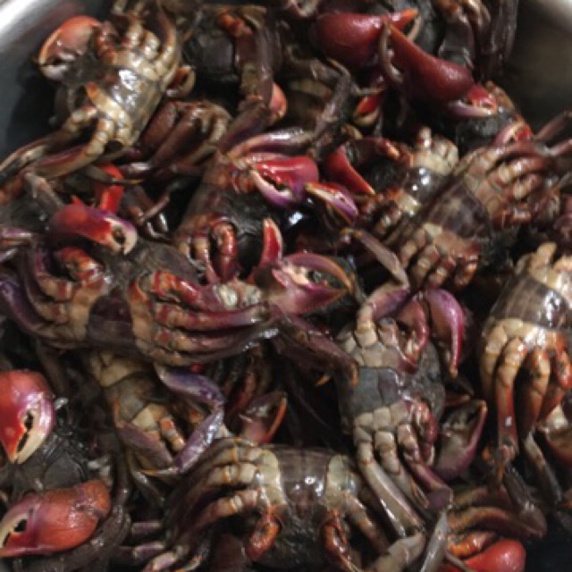 Ba khía muối nguyen con loại trung