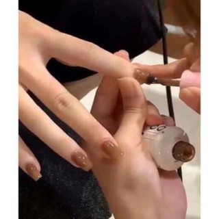 Sơn thạch bobo tông nâu hót hít