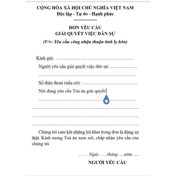 Hồ sơ thuận tình ly hôn (5 bộ)