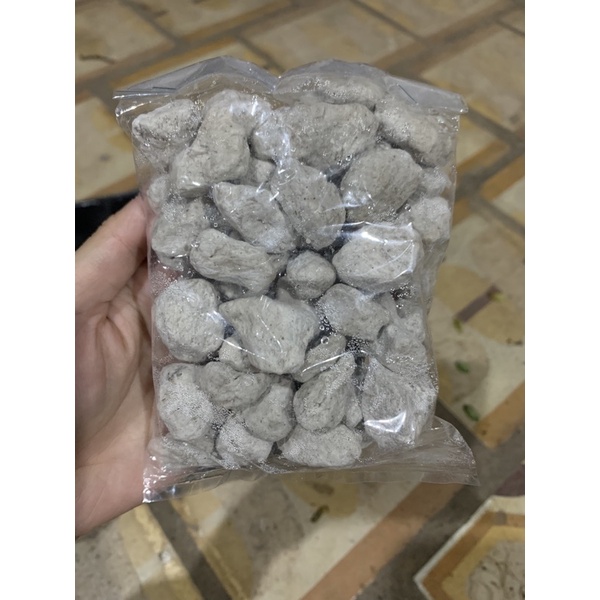 Đá PUMICE - Cực phẩm cho cây mọng nước, lan, hoa hồng, cây cảnh