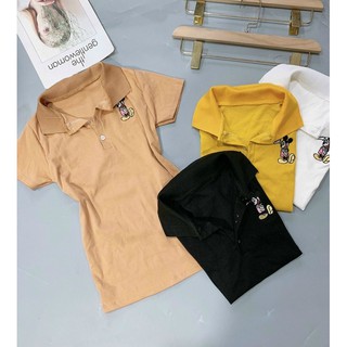 áo thun có cổ ôm body thêu logo