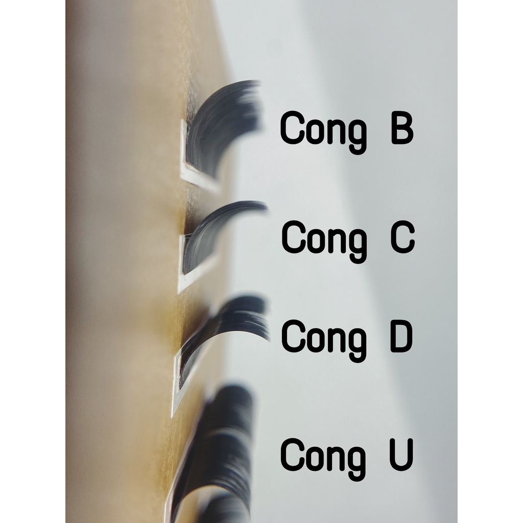 Mi khay Hani - nối mi classic chuyên nối mi dưới - độ cong B