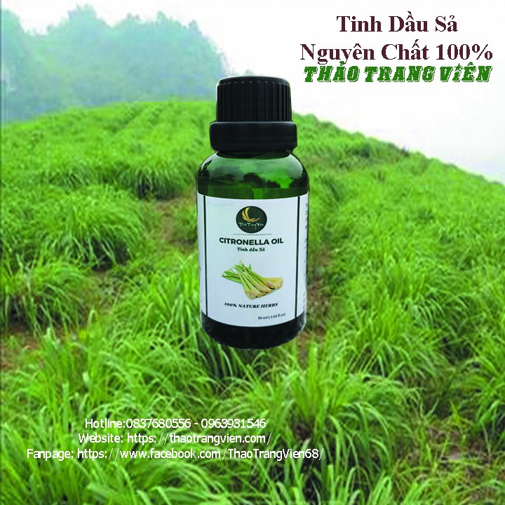 [giá xưởng] Tinh dầu sả nguyên chất 100 - 50ml | Thảo Trang Viên