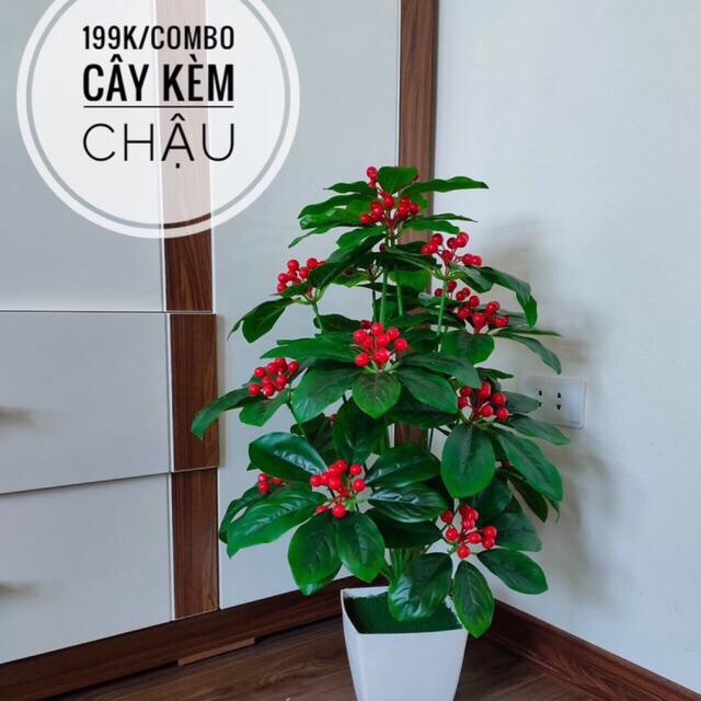 Cây Sơri 60cm kèm chậu siêu đẹp -cây giả