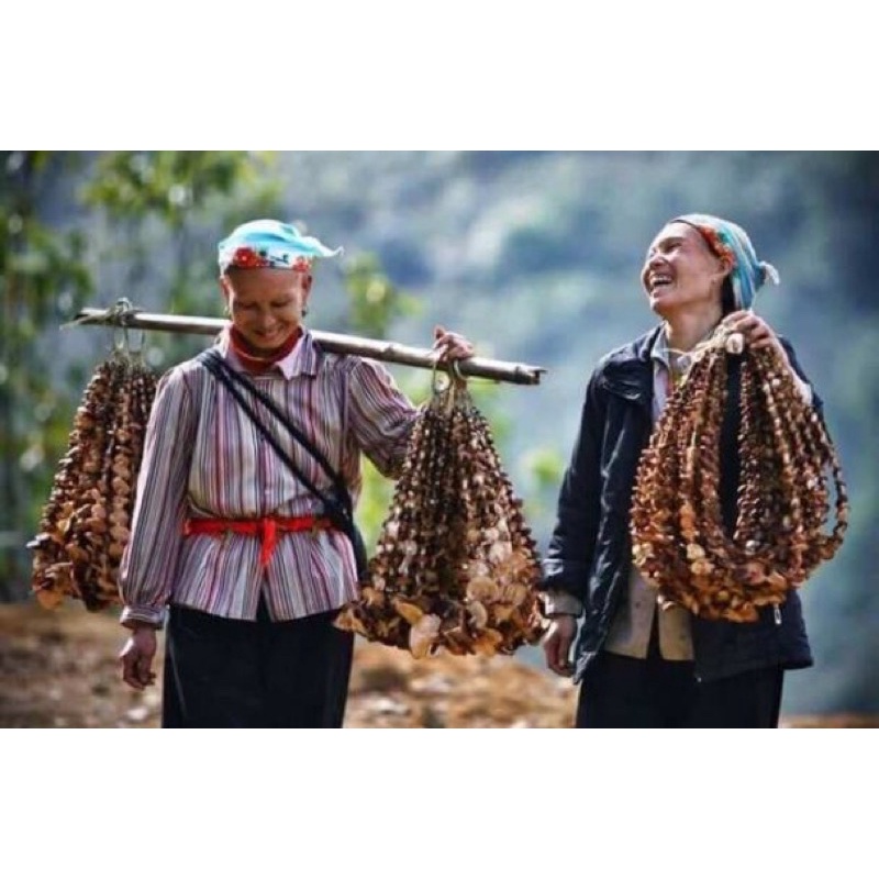 [FreeShip] Nấm Hương Rừng Tây Bắc (Đặc Sản Vùng cao)