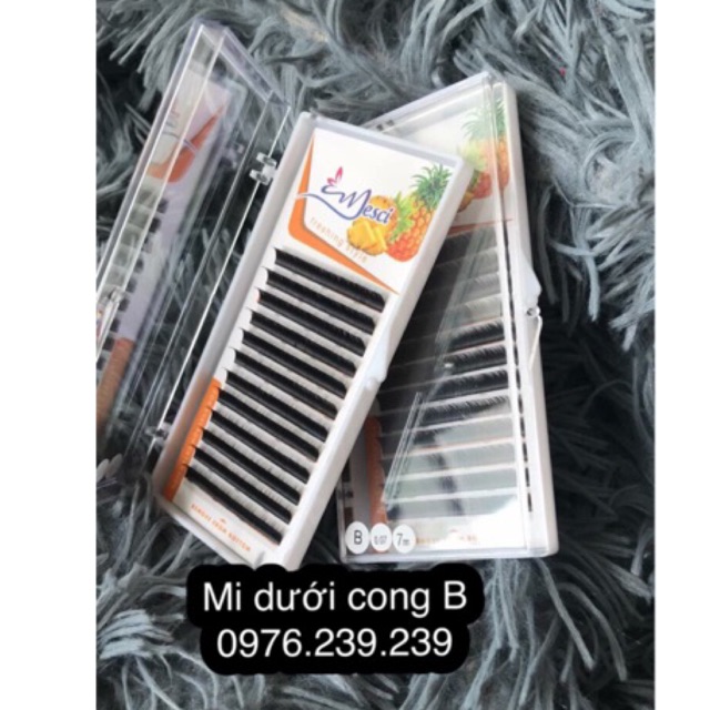 Mi khay nối mi dưới