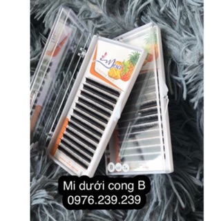 Mi khay nối mi dưới