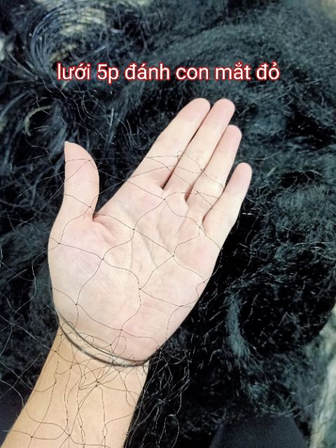 Lưới  Ch-im Đêm M-ắt Đỏ dài 50m -100m cao 6m