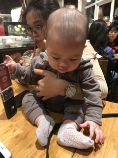 Body thỏ xám