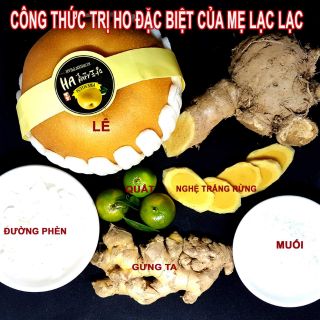 NGHỆ TRẮNG THẢO MỘC MẸ LẠC LẠC NHUẬN PHẾ, LONG ĐỜM, TRI