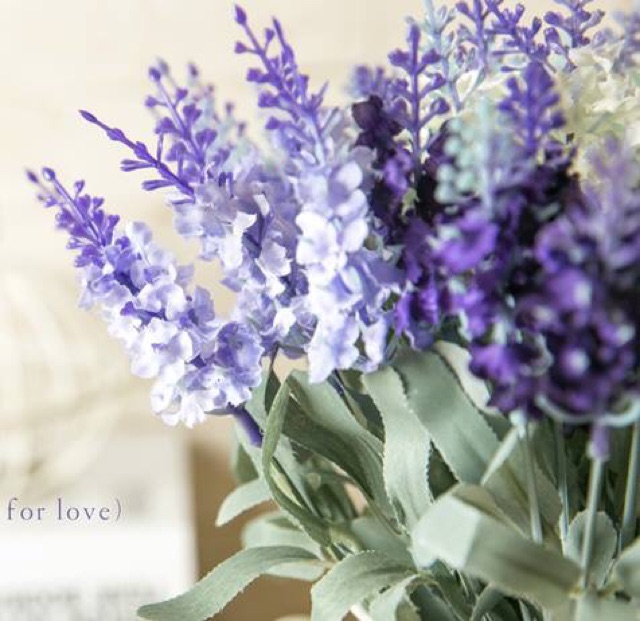 Chùm hoa lavender (oải hương) 10 nhánh đẹp như thật (Kh lưu ý có loại chỉ 5 nhánh)