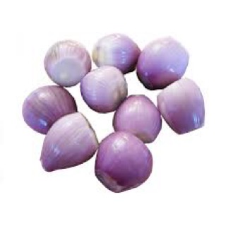 Chuyên sỉ Hành tím InĐô