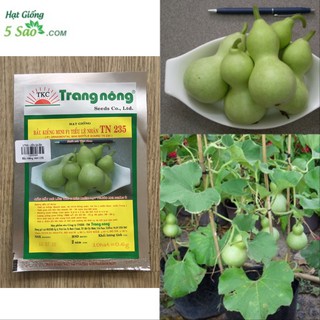 Bầu kiểng mini F1 Tiểu Lệ Nhân - Trang Nông