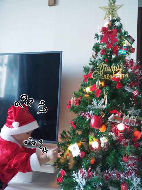 Cây thông Noel cao 1.5 mét đầy đủ phụ kiện và đèn trang trí. Mỗi cây có 3 tán. Thân cây bằng ống inox, cành bằng thép