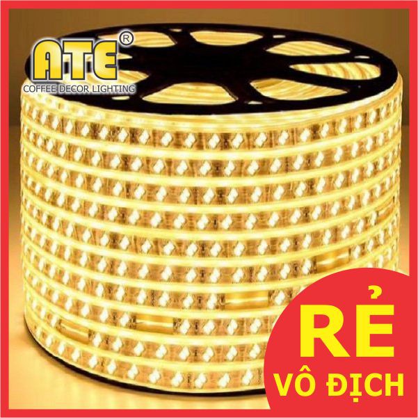 Đèn led dây đôi trang trí - LED DÂY ỐNG 5730 2 ĐƯỜNG BÓNG 100m - MSP: ATE-521-2
