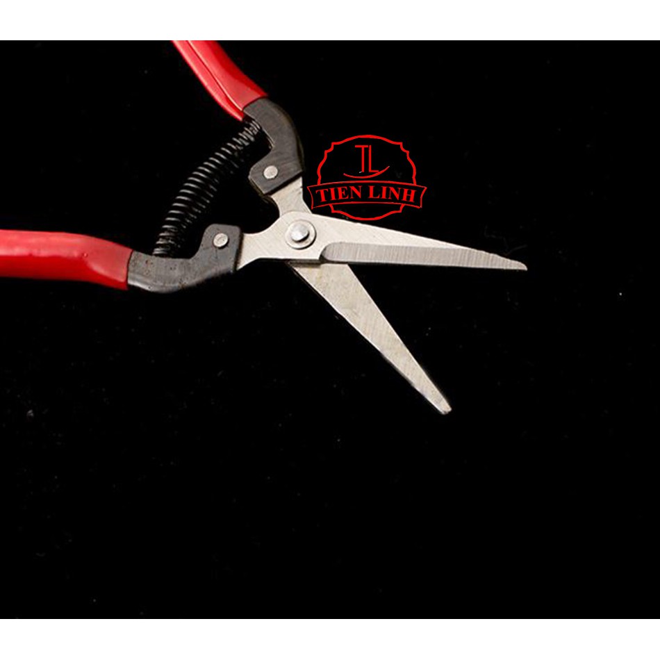 Combo 2 kéo cắt tỉa cành hoa lá 18.5 cm - DEVELOPE (2 cán đỏ)