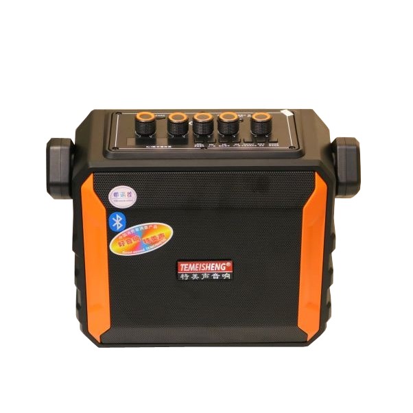 Loa karaoke di động Temeisheng A528 - 2 Micro