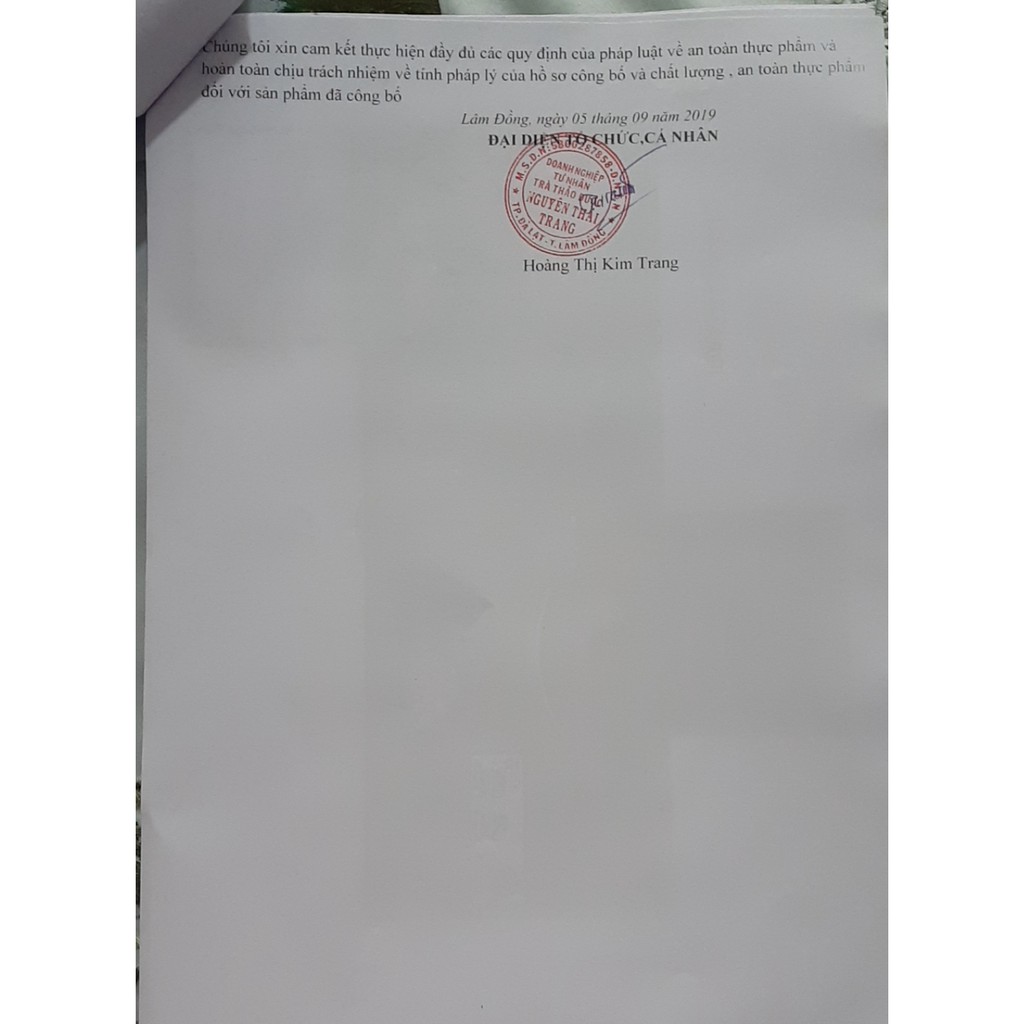 Trà Trinh Nữ Hoàng Cung - Hỗ Trợ U Xơ Tử Cung, Tiền Liệt Tuyến  - Nguyên Thái Trang
