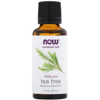 Tinh dầu tràm trà  NOW Foods Essential Tea Tree Oil -- 1 fl oz