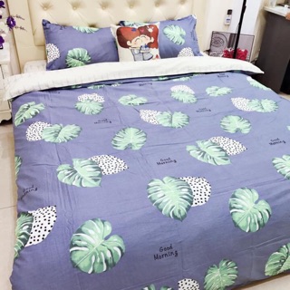 Set chăn ga gối cotton lụa demi
