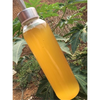 Mật ong rừng nguyên chất 1 lít