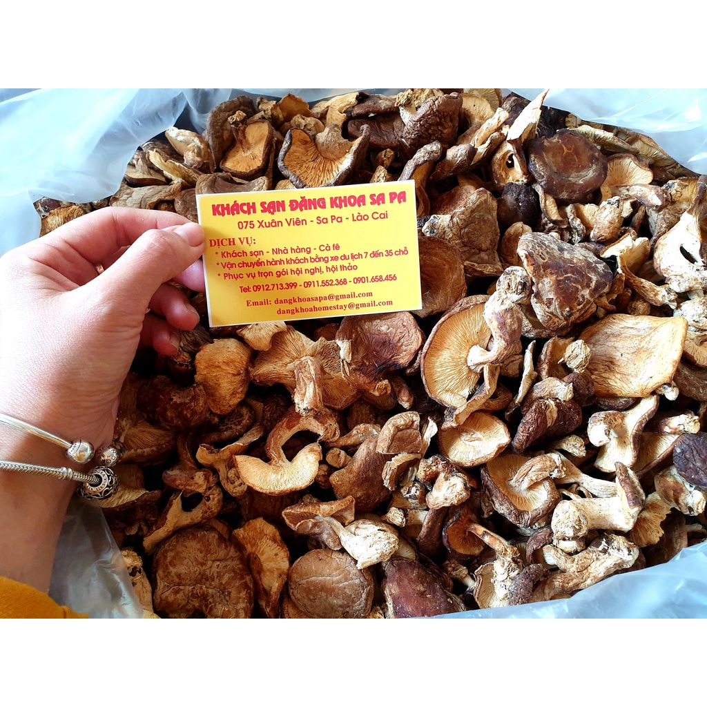 Nấm hương rừng Sapa 1kg giá sốc